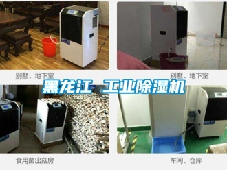 常見(jiàn)問(wèn)題黑龍江 工業(yè)除濕機(jī)