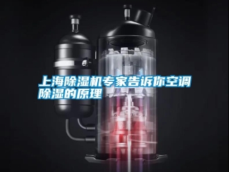 知識百科上海除濕機專家告訴你空調(diào)除濕的原理