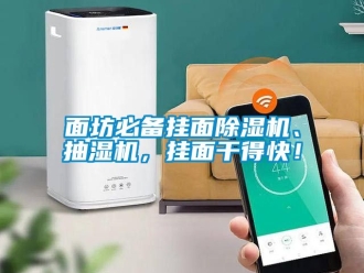 行業(yè)新聞面坊必備掛面除濕機、抽濕機，掛面干得快！