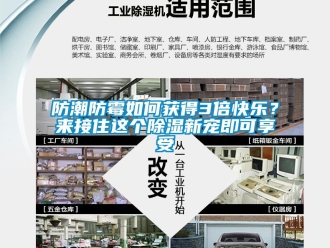 常見問題防潮防霉如何獲得3倍快樂？來接住這個除濕新寵即可享受