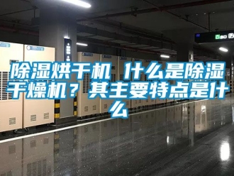 企業(yè)新聞除濕烘干機(jī) 什么是除濕干燥機(jī)？其主要特點(diǎn)是什么