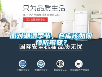 企業(yè)新聞面對(duì)潮濕季節(jié)，倉(cāng)庫(kù)該如何預(yù)防霉變？