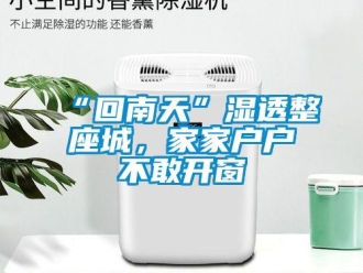 常見問題“回南天”濕透整座城，家家戶戶不敢開窗