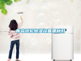 常見問題青島轉(zhuǎn)輪除濕設(shè)備哪種好