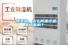 一樓裝修，怎么防潮才是最徹底的？