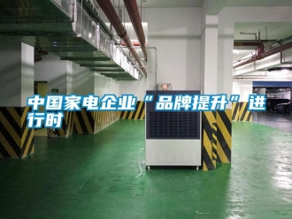 知識(shí)百科中國(guó)家電企業(yè)“品牌提升”進(jìn)行時(shí)