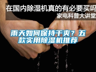 行業(yè)新聞雨天如何保持干爽？五款實用除濕機推薦