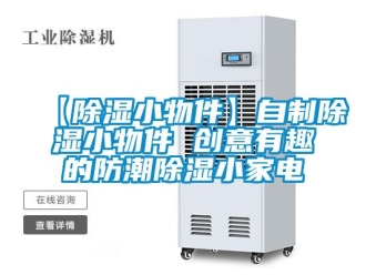 常見(jiàn)問(wèn)題【除濕小物件】自制除濕小物件 創(chuàng)意有趣的防潮除濕小家電