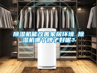 行業(yè)新聞除濕機(jī)能改善家居環(huán)境 除濕機(jī)哪個(gè)牌子好呢？