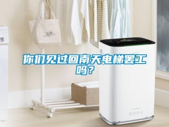常見問題你們見過回南天電梯罷工嗎？
