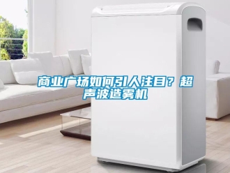 常見(jiàn)問(wèn)題商業(yè)廣場(chǎng)如何引人注目？超聲波造霧機(jī)
