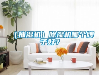 企業(yè)新聞（抽濕機）除濕機哪個牌子好？