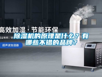 企業(yè)新聞除濕機(jī)的原理是什么？有哪些不錯(cuò)的品牌？