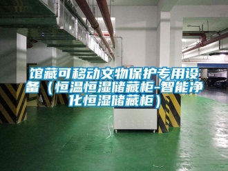 知識(shí)百科館藏可移動(dòng)文物保護(hù)專用設(shè)備（恒溫恒濕儲(chǔ)藏柜-智能凈化恒濕儲(chǔ)藏柜）