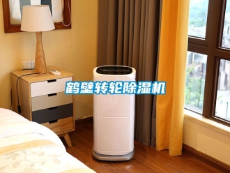 常見問(wèn)題鶴壁轉(zhuǎn)輪除濕機(jī)