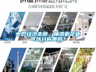 常見問題中巴經(jīng)濟走廊，抽濕機企業(yè)可以分杯羹嗎？