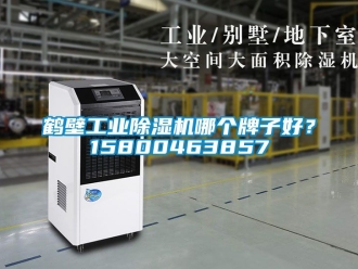 常見問(wèn)題鶴壁工業(yè)除濕機(jī)哪個(gè)牌子好？15800463857