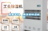 雨來(lái)傘擋，潮濕來(lái)除濕機(jī)防