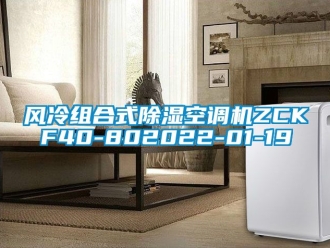 行業(yè)新聞風冷組合式除濕空調機ZCKF40-802022-01-19