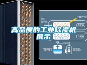 常見問題高品質(zhì)的工業(yè)除濕機(jī)展示