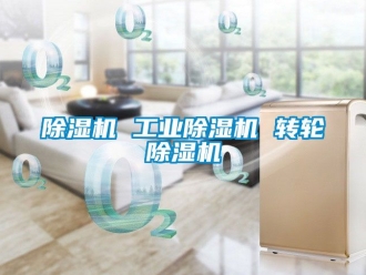 常見(jiàn)問(wèn)題除濕機(jī) 工業(yè)除濕機(jī) 轉(zhuǎn)輪除濕機(jī)