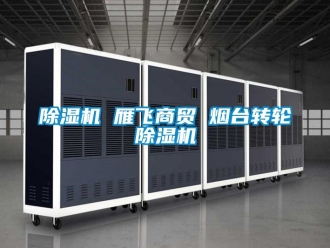 常見(jiàn)問(wèn)題除濕機(jī) 雁飛商貿(mào) 煙臺(tái)轉(zhuǎn)輪除濕機(jī)