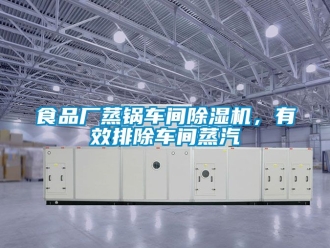 企業(yè)新聞食品廠蒸鍋車間除濕機(jī)，有效排除車間蒸汽
