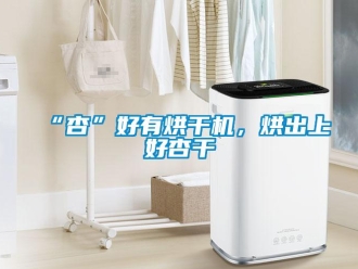 常見問題“杏”好有烘干機，烘出上好杏干