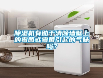 行業(yè)新聞除濕機(jī)有助于清除墻壁上的霉菌或霉菌引起的氣味嗎？