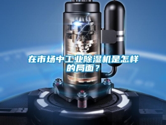 常見問題在市場(chǎng)中工業(yè)除濕機(jī)是怎樣的局面？