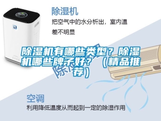 行業(yè)新聞除濕機(jī)有哪些類型？除濕機(jī)哪些牌子好？（精品推薦）