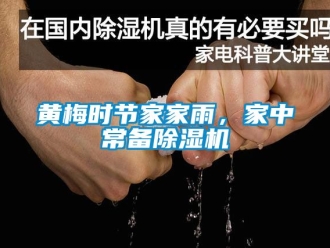 行業(yè)新聞黃梅時節(jié)家家雨，家中常備除濕機