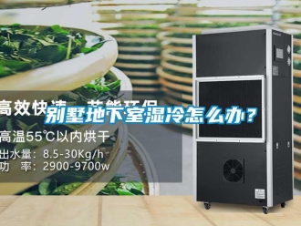 常見(jiàn)問(wèn)題別墅地下室濕冷怎么辦？