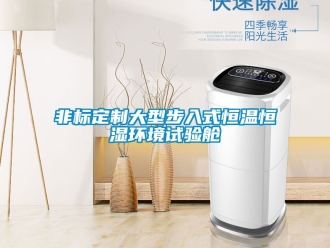 知識百科非標(biāo)定制大型步入式恒溫恒濕環(huán)境試驗艙