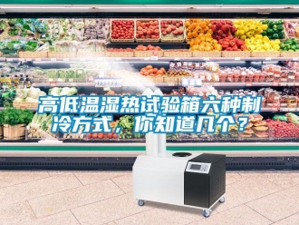 常見問題高低溫濕熱試驗(yàn)箱六種制冷方式，你知道幾個(gè)？