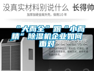 常見問題“大而全”跟“小而精”除濕機企業(yè)如何面對