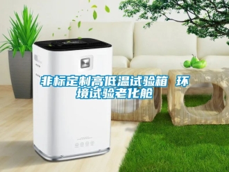 常見問題非標定制高低溫試驗箱 環(huán)境試驗老化艙