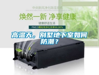 企業(yè)新聞高溫天，別墅地下室如何防潮？