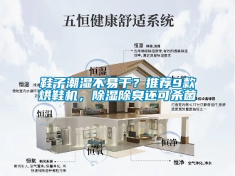 行業(yè)新聞鞋子潮濕不易干？推薦9款烘鞋機，除濕除臭還可殺菌