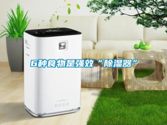 常見問題6種食物是強效“除濕器”