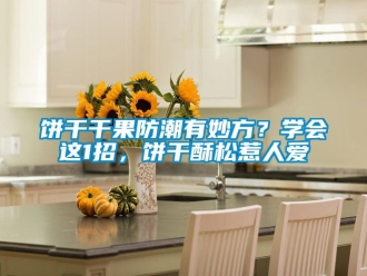 企業(yè)新聞餅干干果防潮有妙方？學(xué)會這1招，餅干酥松惹人愛