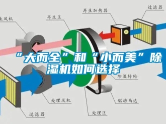 常見問題“大而全”和“小而美”除濕機如何選擇