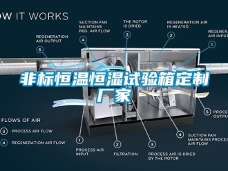 知識百科非標(biāo)恒溫恒濕試驗箱定制廠家