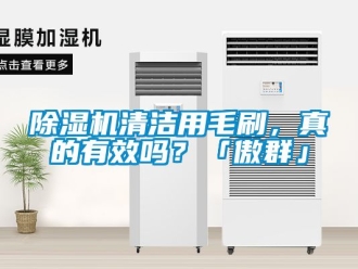 行業(yè)新聞除濕機(jī)清潔用毛刷，真的有效嗎？「傲群」