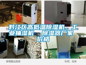 企業(yè)新聞黔江區(qū)高低溫除濕機，工業(yè)抽濕機  除濕器廠家 價格
