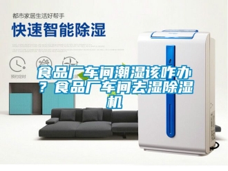 企業(yè)新聞食品廠車間潮濕該咋辦？食品廠車間去濕除濕機(jī)