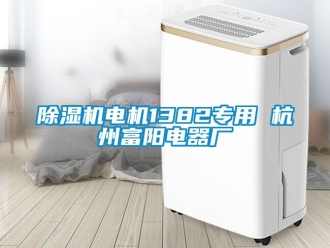 企業(yè)新聞除濕機電機1382專用 杭州富陽電器廠