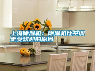 知識百科上海除濕機：除濕機比空調(diào)更受歡迎的原因