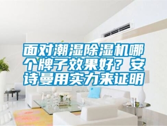 行業(yè)新聞面對潮濕除濕機哪個牌子效果好？安詩曼用實力來證明