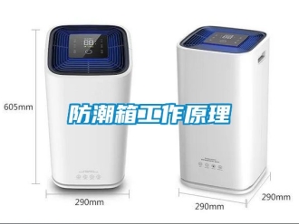 常見問題防潮箱工作原理